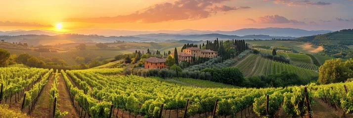 Fotobehang Toscane The radiant sun dips below the horizon, casting a warm glow over the vineyard nestled in the hills, creating a stunning silhouette of the vines and the landscape Tuscany, Italy   © Fleuronica
