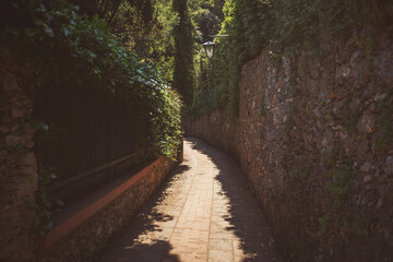 Old and dark alley with stone walls covered with plants in a village in Portofino, Italy. Beautiful green alley . 