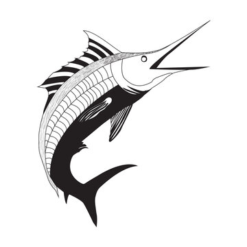 recommend clip art: fish vector making