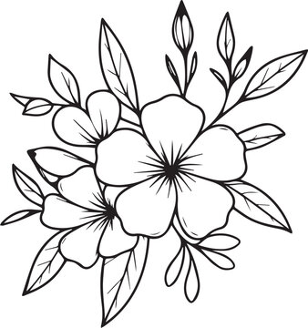 Cute flower coloring pages, Allamanda cathartica drawing, yellow Allamanda cathartica flower drawing, Hand drawn botanical spring elements bouquet of Allamanda cathartica line art coloring page