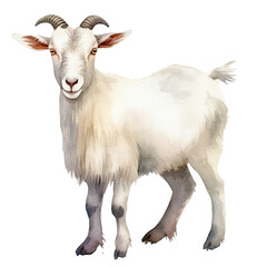 Fototapeta premium AI-generated watercolor white Goat clip art illustration. Isolated elements on a white background.