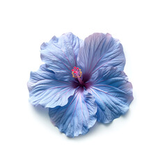 Blue Flower on White Background. Generative AI