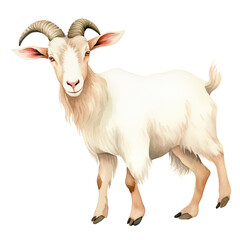Fototapeta premium AI-generated watercolor white Goat clip art illustration. Isolated elements on a white background.