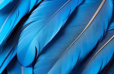 A close-up of a bluebird's feathers. Blue feathers as background