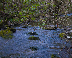 Obraz premium River and nature