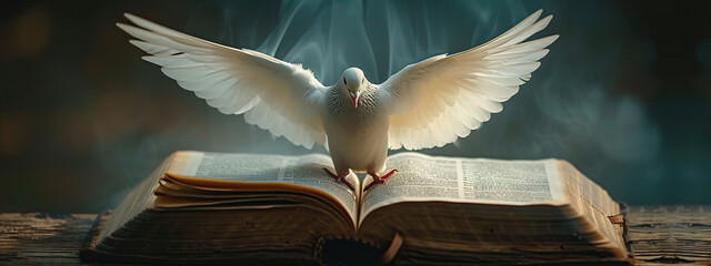 Dove with spread wings over the Bible