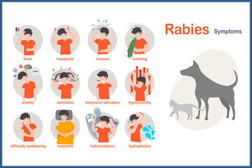 Medical vector illustration in flat style.Symptoms of rabies include fever,headache,nausea and vomiting.anxiety and confusion hyperactivity,insomnia and hydrophobia.excessive salivation,hallucinations