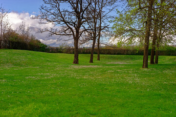 A beautiful day in the medieval city of Wurzburg on a rainy day.
