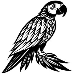 scarlet-macaw silhouette vector illustration svg file