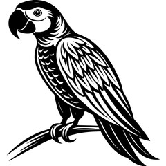 scarlet-macaw silhouette vector illustration svg file