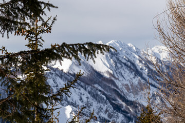 Fototapeta premium Selective focus on tree branches with scenic view on snow capped mountain peaks of Karawanks and Julian Alps in Carinthia, Austria. Looking at summits Vertatscha and Hochstuhl. Remote alpine landscape