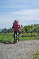 Naklejka premium Farmer cycling among vast green rice fields