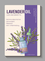 Vector infographic poster. Illustration of glass bottle of essential oil, dropper, lavender plant. Information card background design. Cosmetic, perfumery and aromatherapy concept.