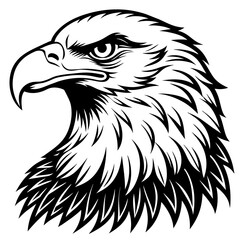 bald eagle silhouette vector illustration svg file