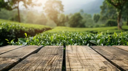 Foto auf Alu-Dibond Tea garden green plantation with wooden table shelf background concept © PrettyVectors