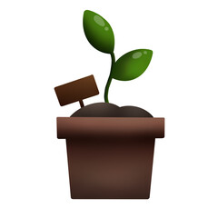 plant pot