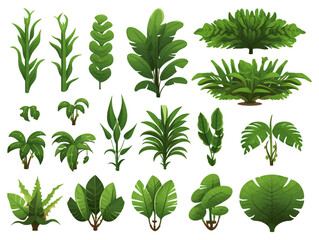 Rainforest vegetation set flat design isolated style illustration - obrazy, fototapety, plakaty