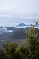 The stunning beauty of Mount Bromo which is an active volcano