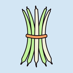 Green beans bound sheaf isolated vector icon - 779170924