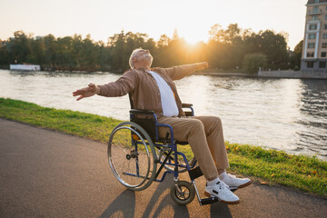 Happy senior man in wheelchair raised hands enjoying freedom walking on road in city park outdoor....