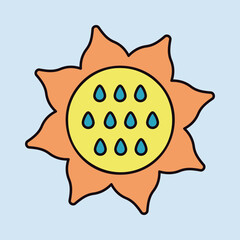 Sunflower outline icon. Vegetable vector - 779170994