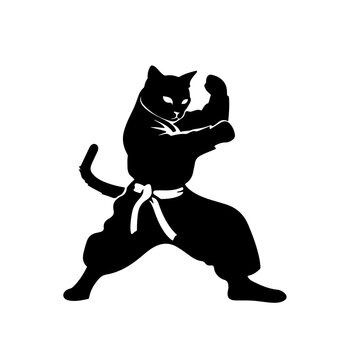 Cat doing karate