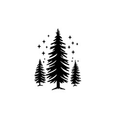 Pine trees under the stars