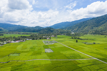Aerial view of vast and beautiful rice fields in Indonesia