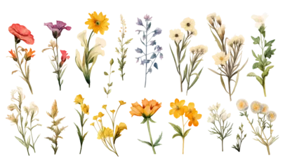 Schilderijen op glas Geschilderde Bloemen Set of floral elements watercolor oil painted. Flower and green leaves. Wedding, Floral poster, invite arrangements for greeting card or invitation design concept flowers  © Pickoloh