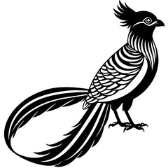 quetzal silhouette vector illustration svg file