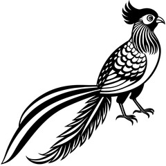 quetzal silhouette vector illustration svg file