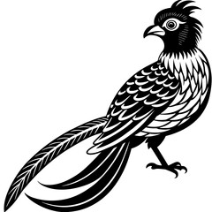 quetzal silhouette vector illustration svg file