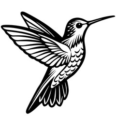 hummingbird silhouette vector illustration svg file