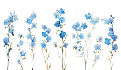 Floral branch set. Blue floral collection with leaves and flowers, han drawn oil paint watercolor. Spring or summer design for invitation, wedding or greeting cards background illustration