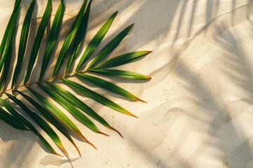 Palm leaf laying on a sandy beach. Perfect for tropical vacation concepts