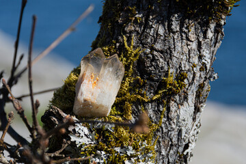 An image of a stunning double pointed citrine crystal charging on a moss covered tree branch.