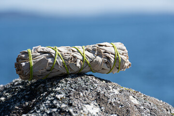 An image of a white sage smudge stick tied with bright green thread and the blue ocean waters in the background.