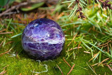 An image of a stunning amethyst crystal sphere nestled in thick green moss and pine needles. 
