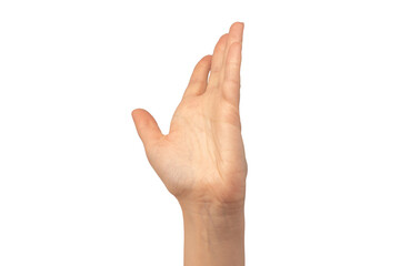 Woman hands  isolated on a white background. Nude nail polish.