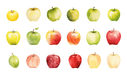 set of Watercolor elements of apple fruits, leaves and flowers for posters, wedding cards, summer boho banners, cover design templates, social media post, spring wallpapers. Vector apples illustration