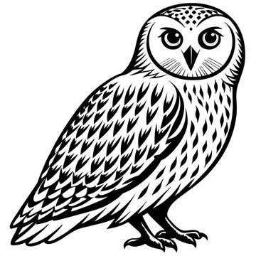 owl silhouette vector illustration svg file