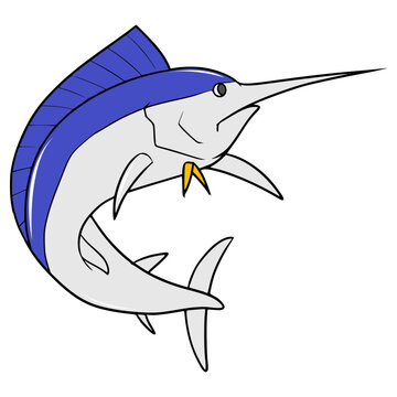 marlin fish illustration hand drawn isolated vector	
