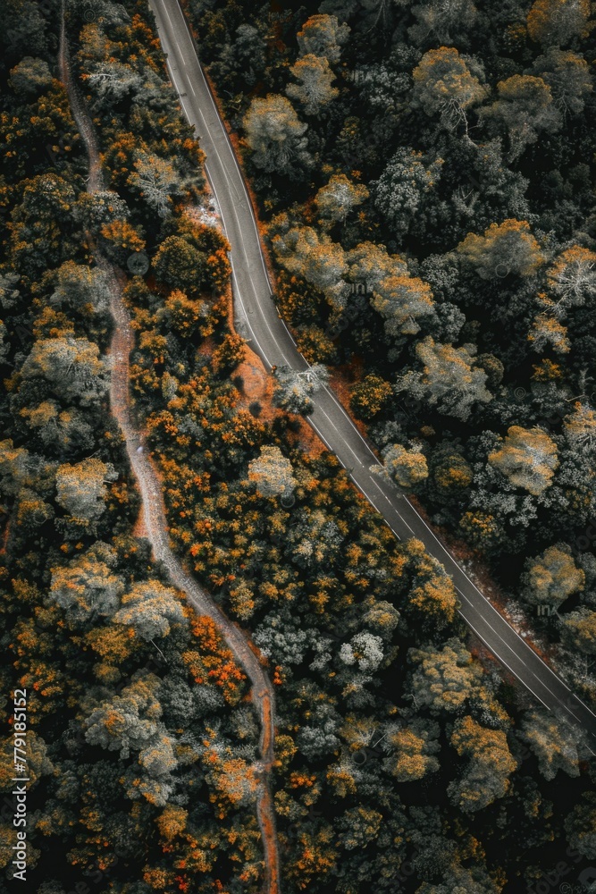 Poster aerial view of a road surrounded by trees. ideal for transportation or nature concepts