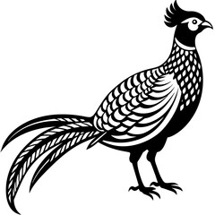 pheasant silhouette vector illustration svg file