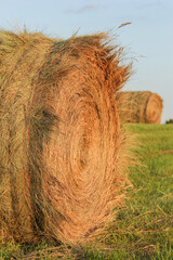 round bale of grass hay © Peter