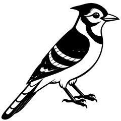 blue jay  silhouette vector illustration svg file