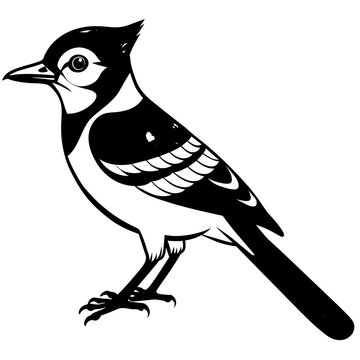 recommend clip art: blue jay  silhouette vector illustration svg file