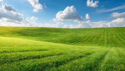 Fototapeta premium Vivid Vistas: Perfect Green Lawn Extending into the Boundless Blue Horizon