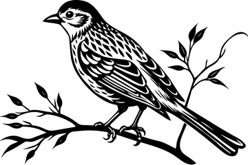 bird-vector illustration on-a-bare-branch