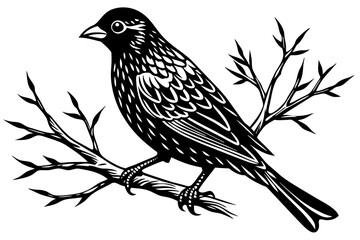 bird-vector illustration on-a-bare-branch